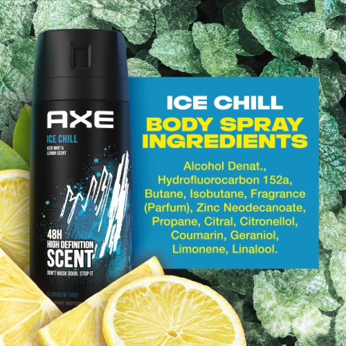 Axe Ice Chill Body Spray, 4 oz — 12 Per Case