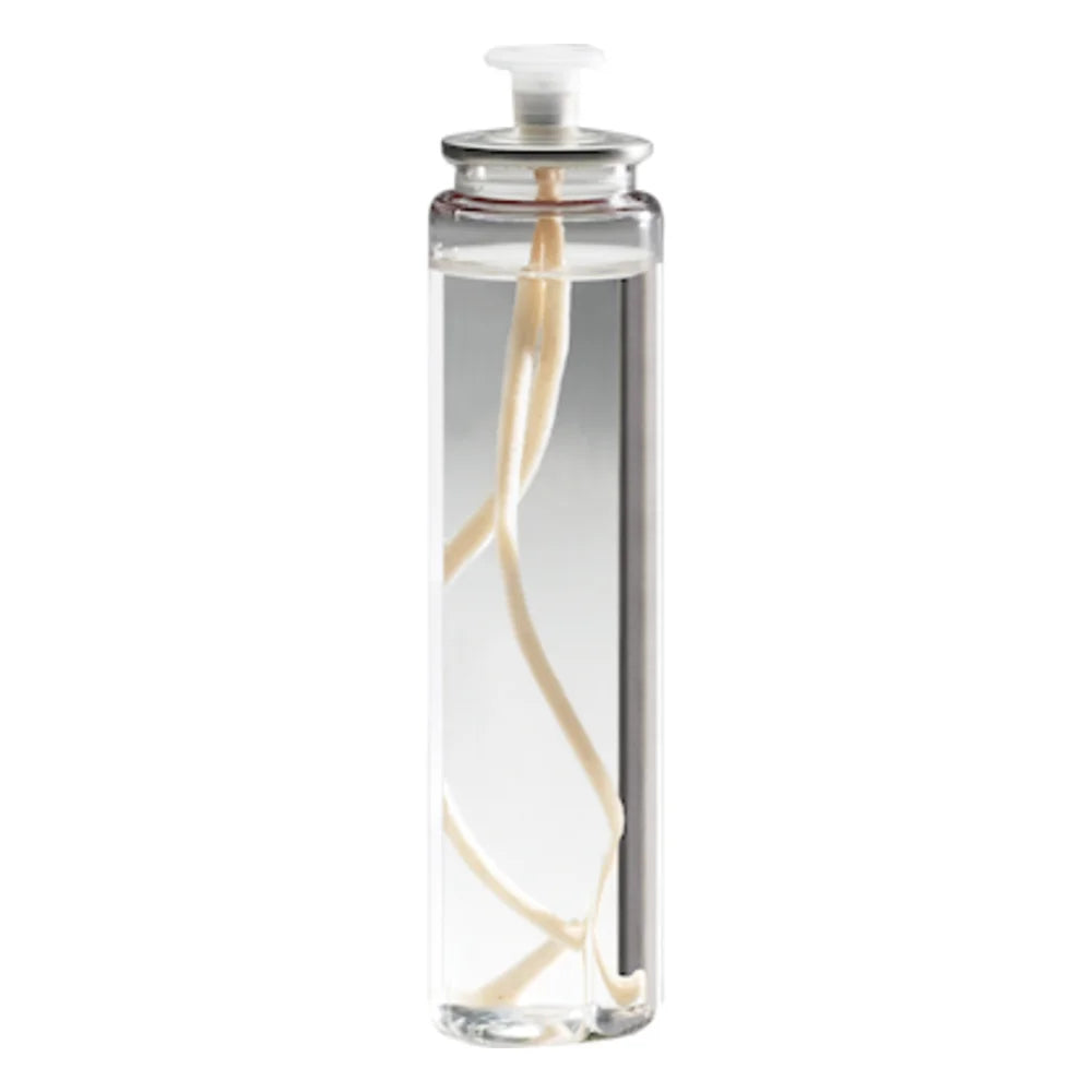 Sterno 29 Hour Soft Light Liquid Wax Candle, 3.05 Fluid Ounce — 36 Per Case