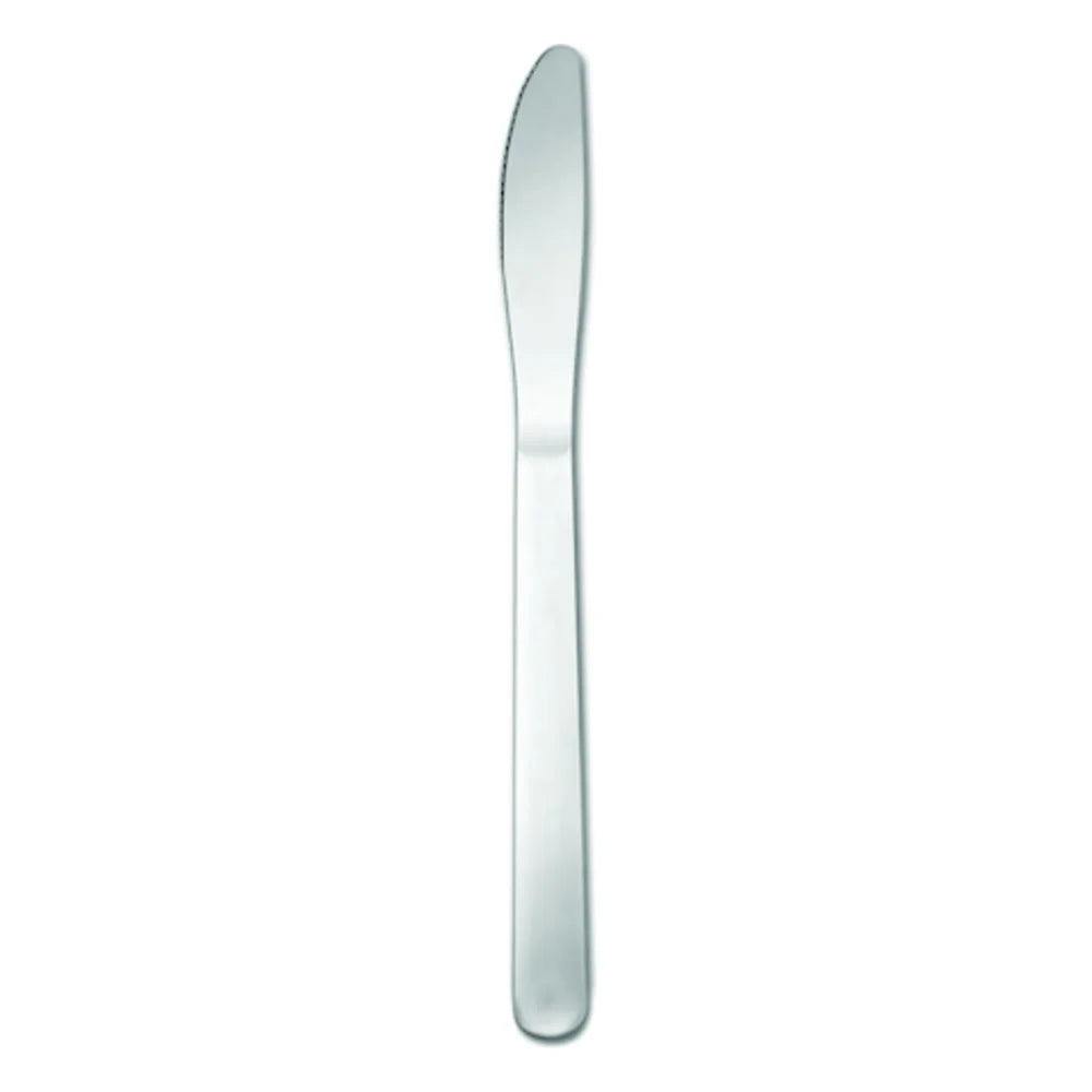 Oneida Windsor III Dinner Knife — 36 Per Case