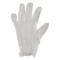 Valugards Vinyl Clear Form-Fitting Powder Free Glove, Extra Large — 1000 Per Case