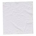 Panhandlers Third Size High Density Twist Tie Pan Liner Bags, 19.5 Inch X 10 Inch — 250 Per Case