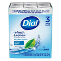 Dial Bar Soap Spring Water, 12 Ounce — 12 Per Case