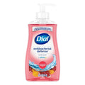 Dial Complete Liquid Hand Soap Pomegranate & Tangerine, 11000 Fluid Ounce — 12 Per Case