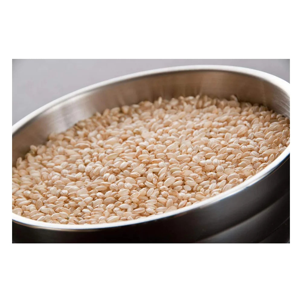 InHarvest Short Grain Brown Rice, 25 Pound — 1 Per Case