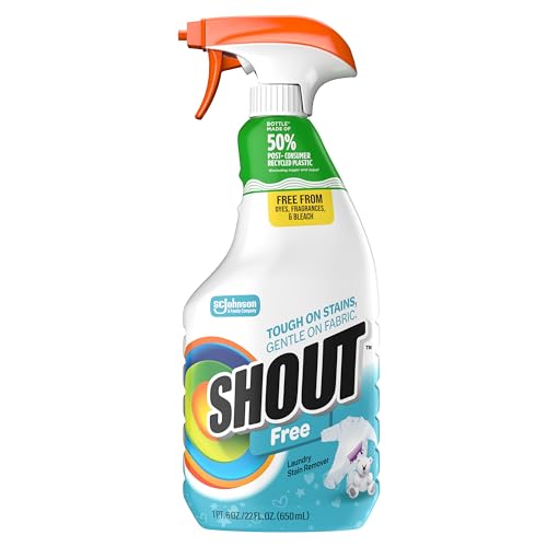 Shout Dyefragfr Shr Trg Amz Sipp us, 22OZ — 1 Per Case