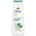 Dove Body Wash Invigorating Aloe & Eucalyptus, 20 oz — 4 Per Case