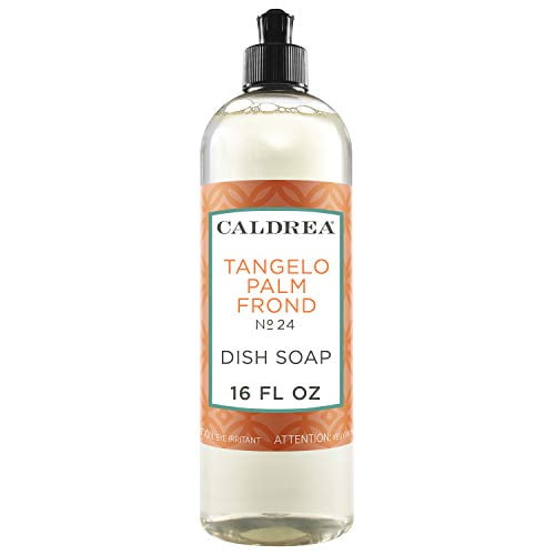 Caldrea Dish Soap, Tangelo Palm Frond, 16 oz — 6 Per Case
