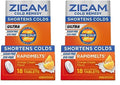 Zicam Ultra Cold Remedy Rapidmelts Orange Cream (18 Count, 2 Pack)/24pk