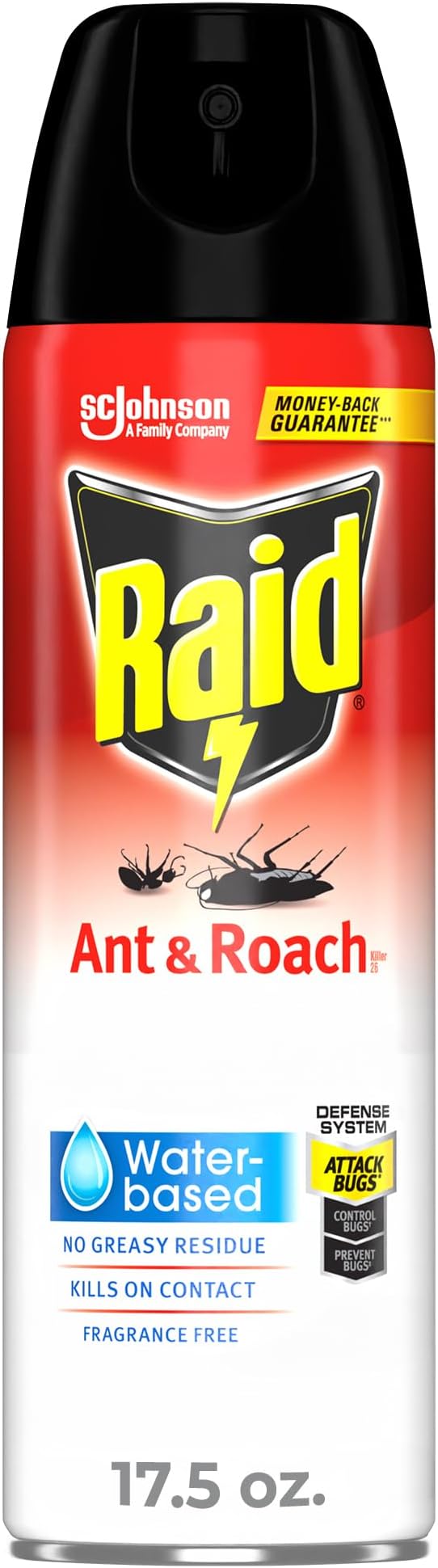 Raid Ant/rch Unscented 17.5 oz — Case of 12