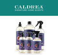 Caldrea Countertop Spray - Lavender Cedar Leaf, 16 oz — 6 Per Case