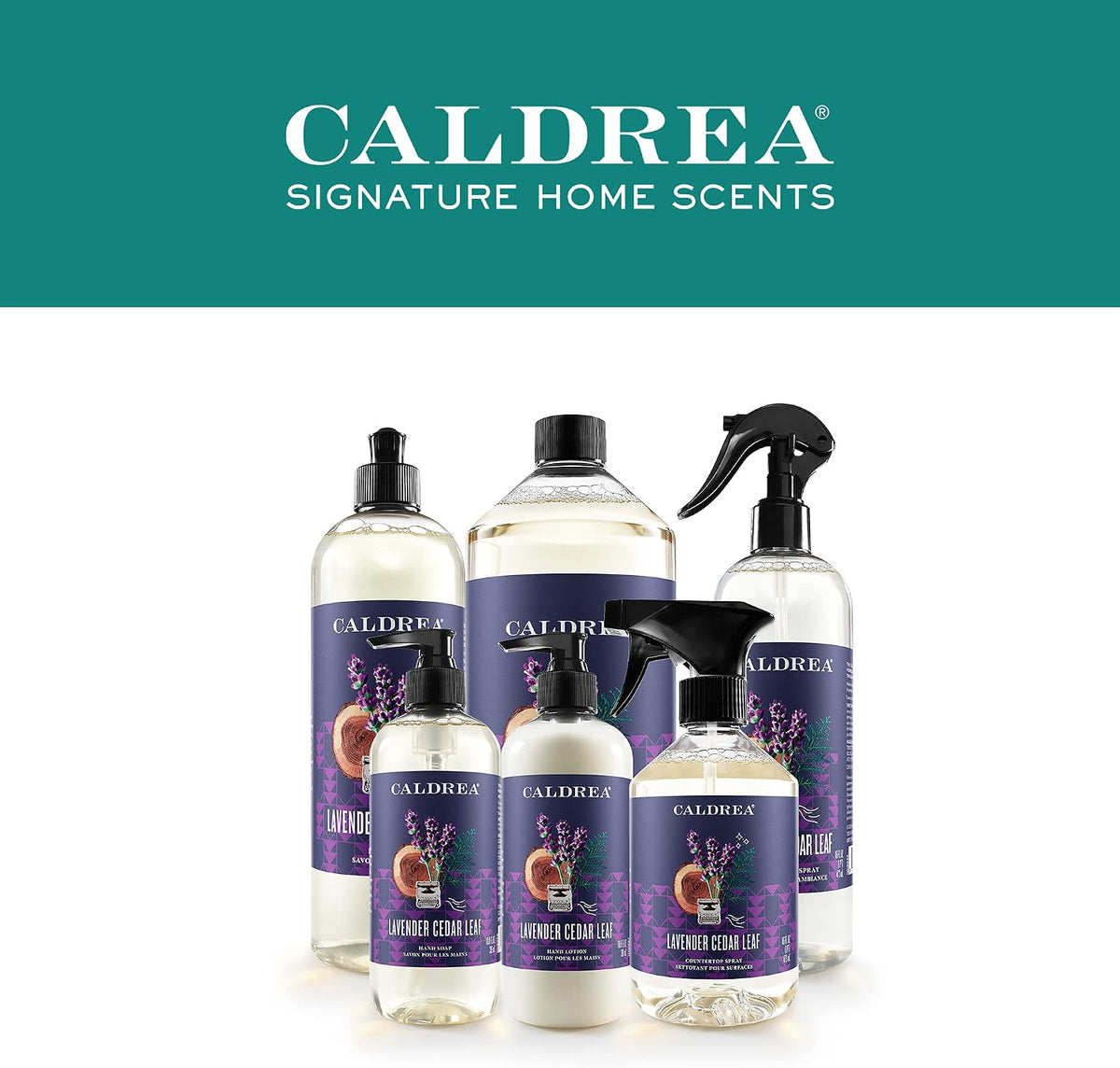 Caldrea Countertop Spray - Lavender Cedar Leaf, 16 oz — 6 Per Case