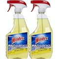 Windex Multi-Surface Citrus Trigger, 26 oz — 8 Per Case