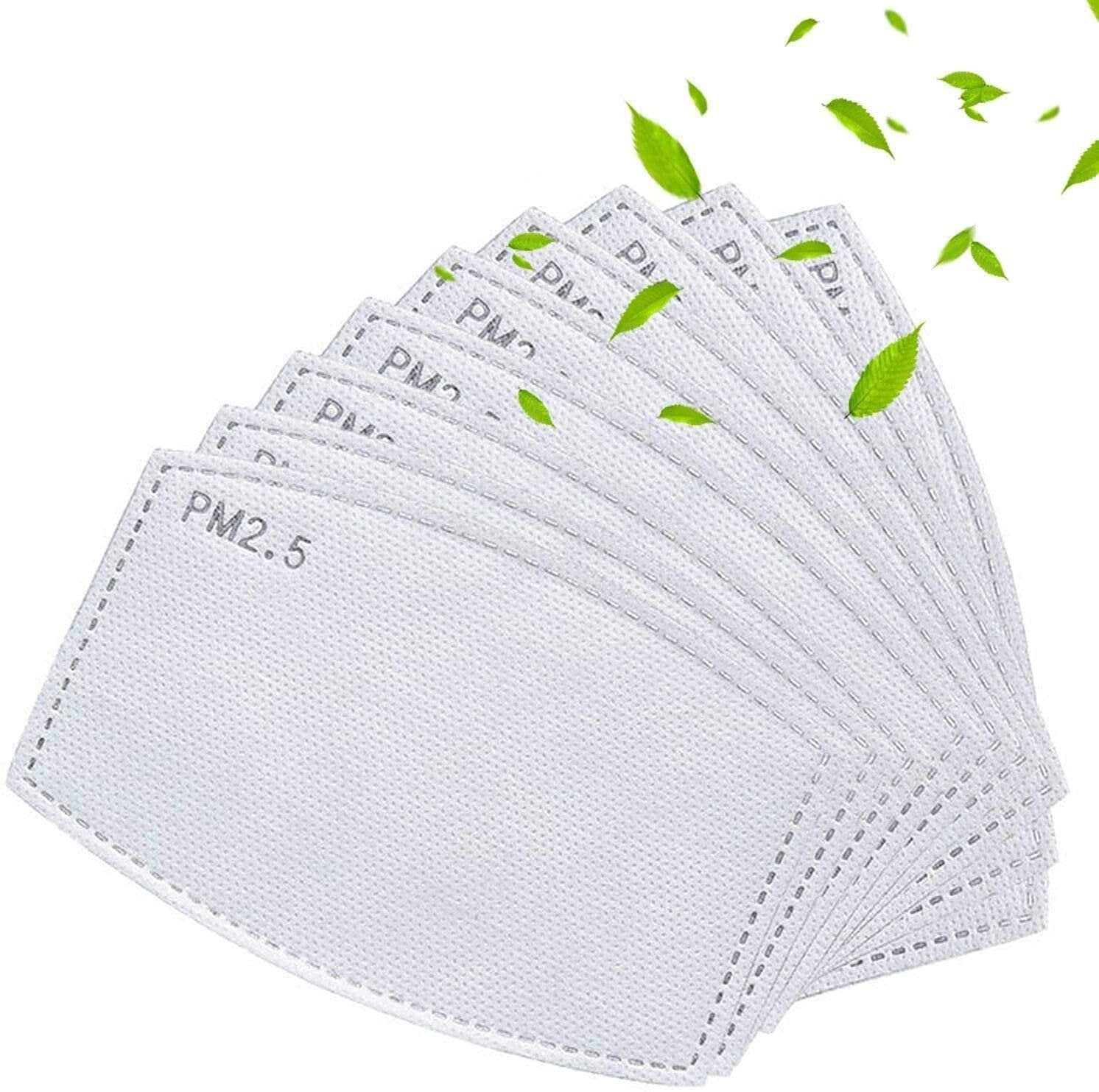 PM2.5 Mask Filters with Carbon (100 ct)/10pk