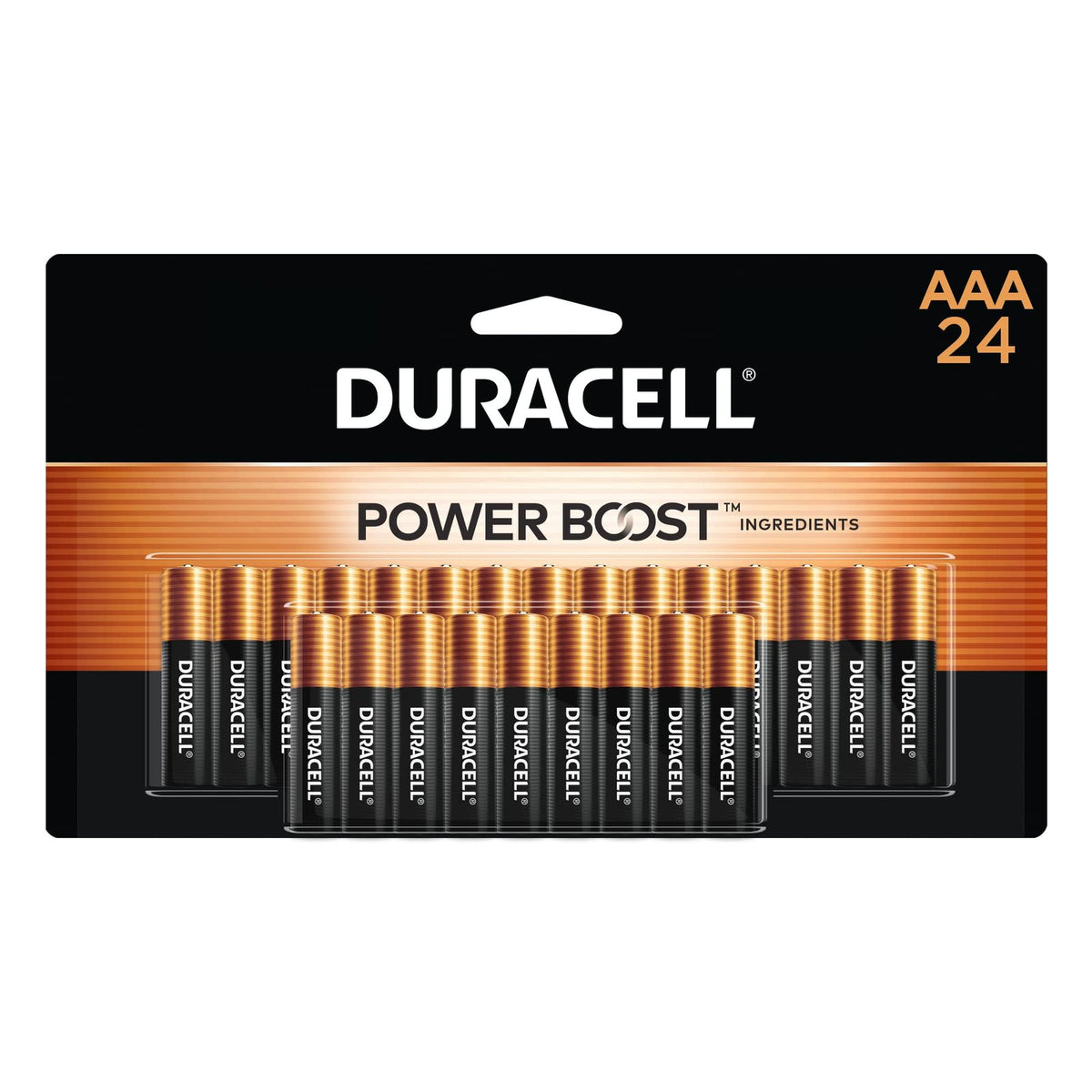 Duracell AAA Batteries (24 Count)/12pk