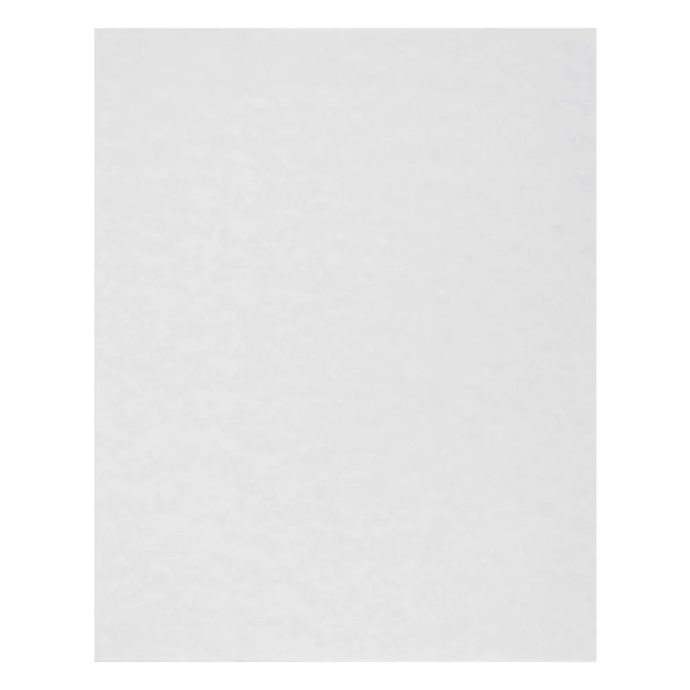 ACR 16.38 Inch X 18.38 Inch Paper Filter Sheet — 100 Per Case