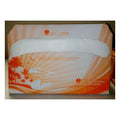 Goldmax Cover Toilet Seat — 4 Per Case