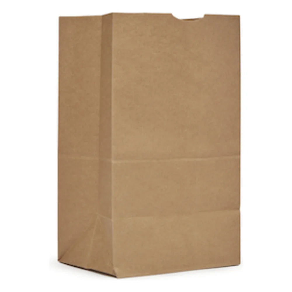 AJM 20# Kraft Squat Bag, 500 Count — 1 Per Case