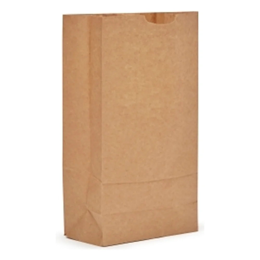 AJM 10# Natural Kraft Bag, 500 Count — 1 Per Case