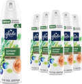 Glade Aerosol - Juniper Forest, 7.3 oz — 6 Per Case
