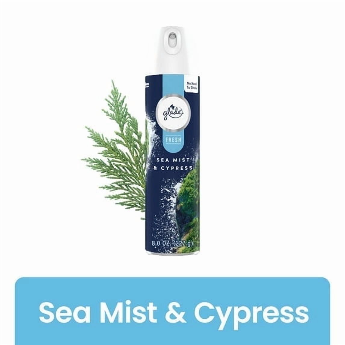 Glade Aerosol - Fresh Sea Cypress, 8 oz — 6 Per Case