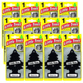 Little Tree Car Frs 3 pk Blk IC — Case of 96