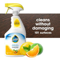 Pledge Multi Surface Trigger Citrus, 25 oz — 6 Per Case
