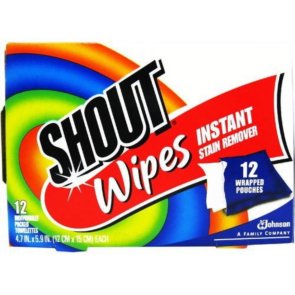 Shout Wipes, 12 ct — 12 Per Case