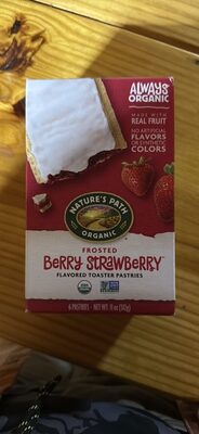 Natures Path Tstr Pst Frst Br Str - 11 oz — Case of 12