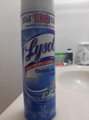 Lysol Disinfectant Spray Spring Waterfall, 19 oz — 12 Per Case