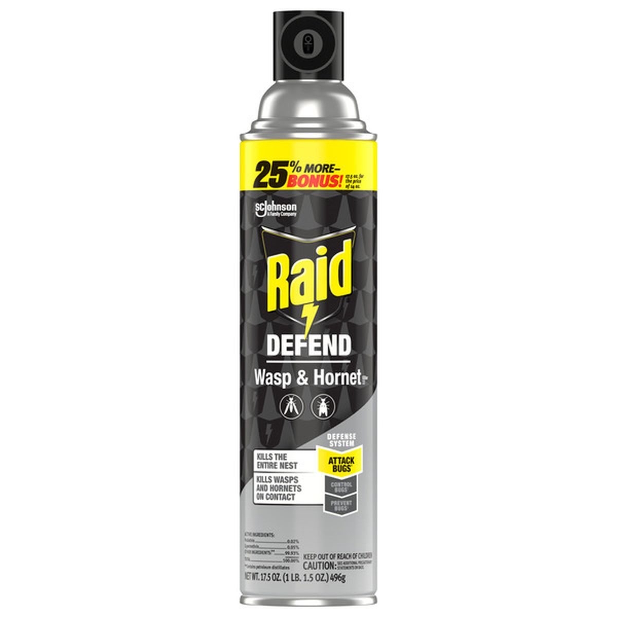 Raid Defend Wasp & Hornet, 14 oz — 12 Per Case