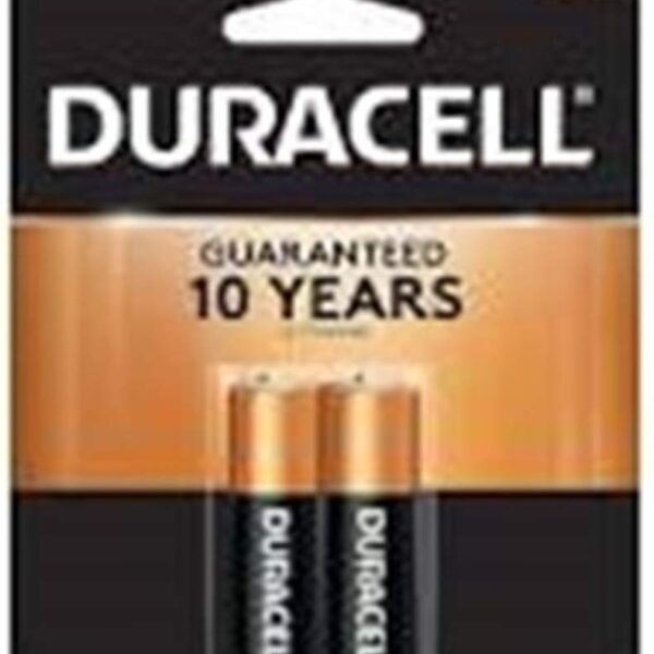 Duracell AA Batteries (2 Pack)/48pk