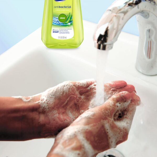 Dial Antibacterial Hand Soap Aloe (11 oz, 12 Pack)/12pk