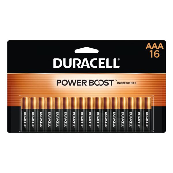 Duracell AAA Batteries (16 Count)/20pk